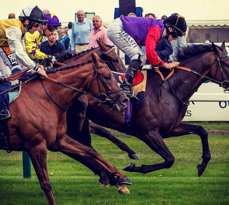 Horses racing from a side view