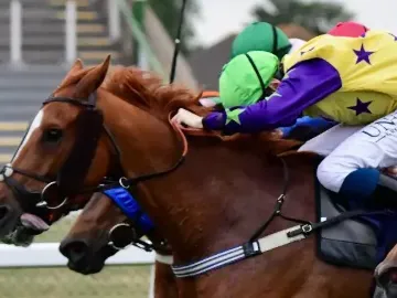 Close horseracing finish