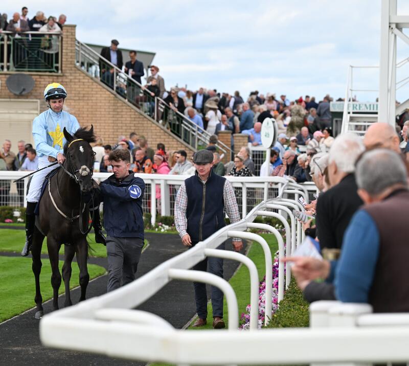 Horses walk past the crowds in the parade ring at Great Yarmouth Races