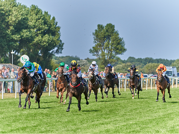 18th June afternoon racing ft Royal Ascot