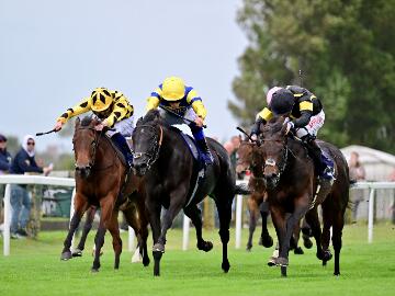 Summer afternoon racing
