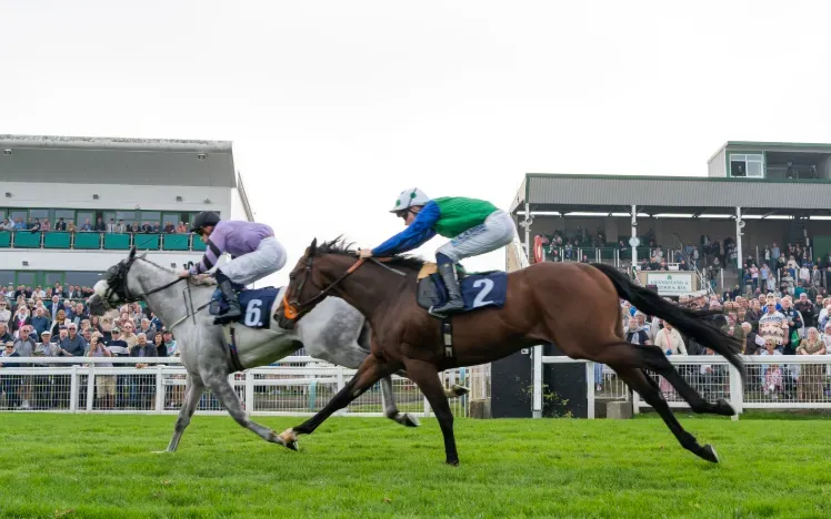 Two horses race for the win in front of the grandstands at Great Yarmouth