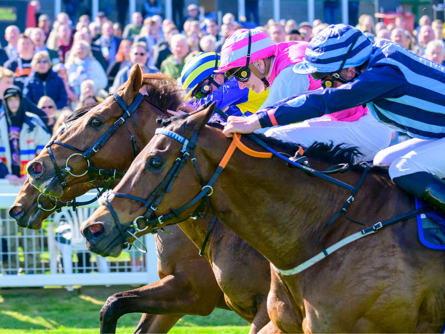 racing 28th July Yarmouth