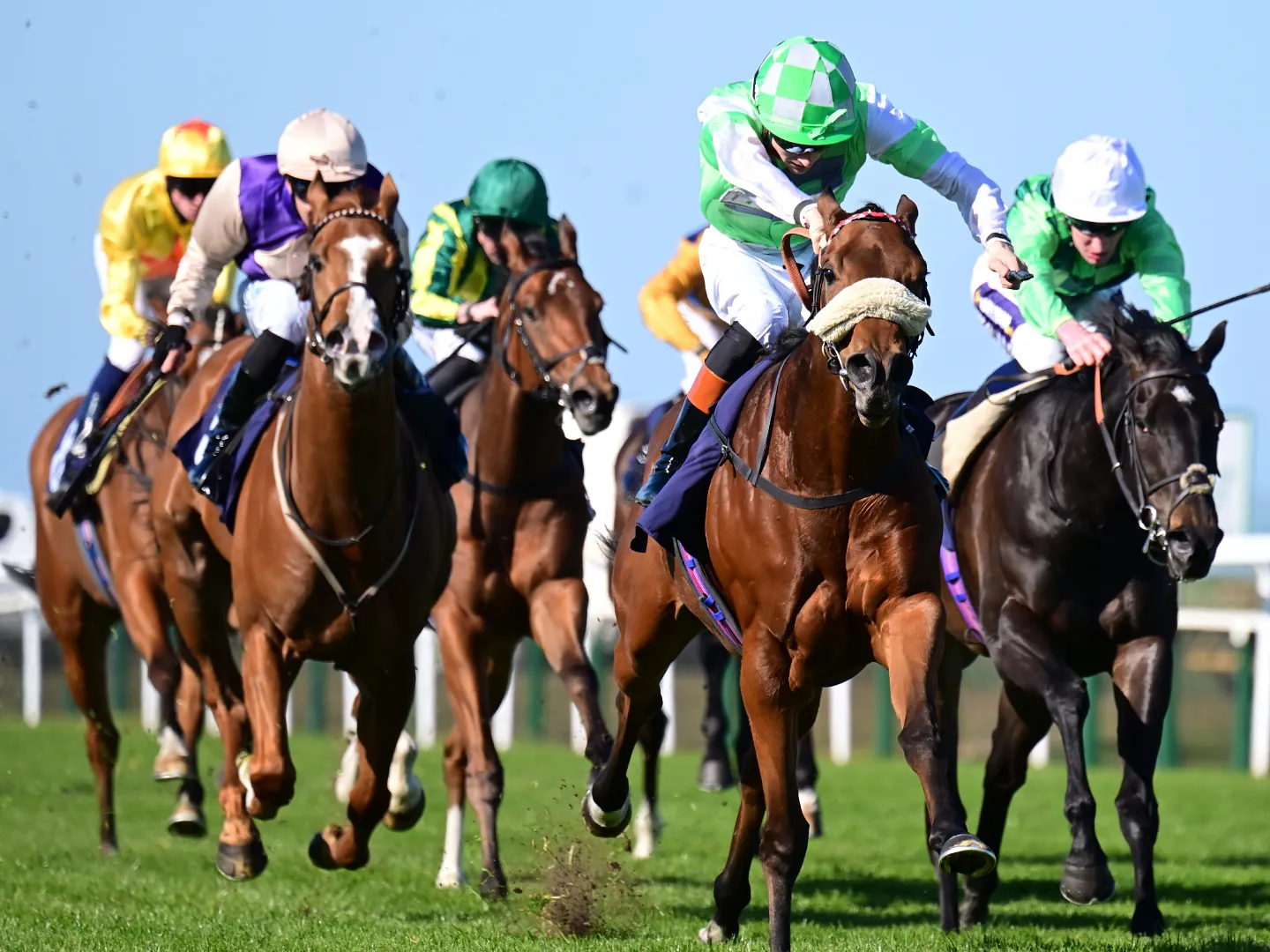 Thursday Afternoon Racing at Great Yarmouth 
