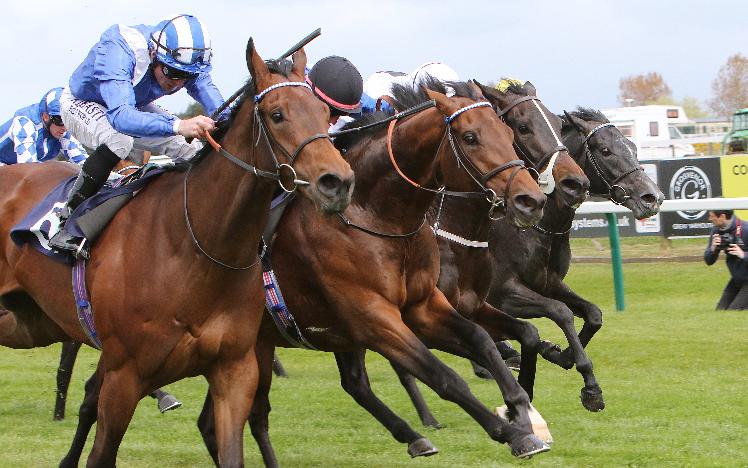 Racing at Great Yarmouth Racecourse