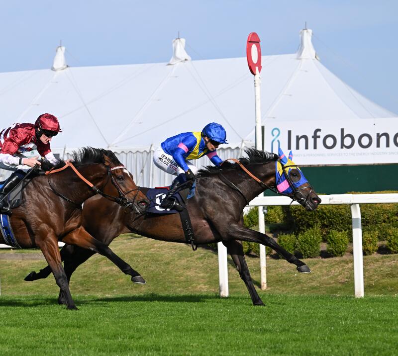 John Musker Fillies Stakes 2024 winner Sound Angela