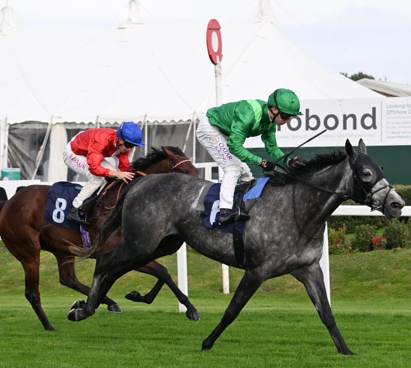 running lion - john musker fillies stakes